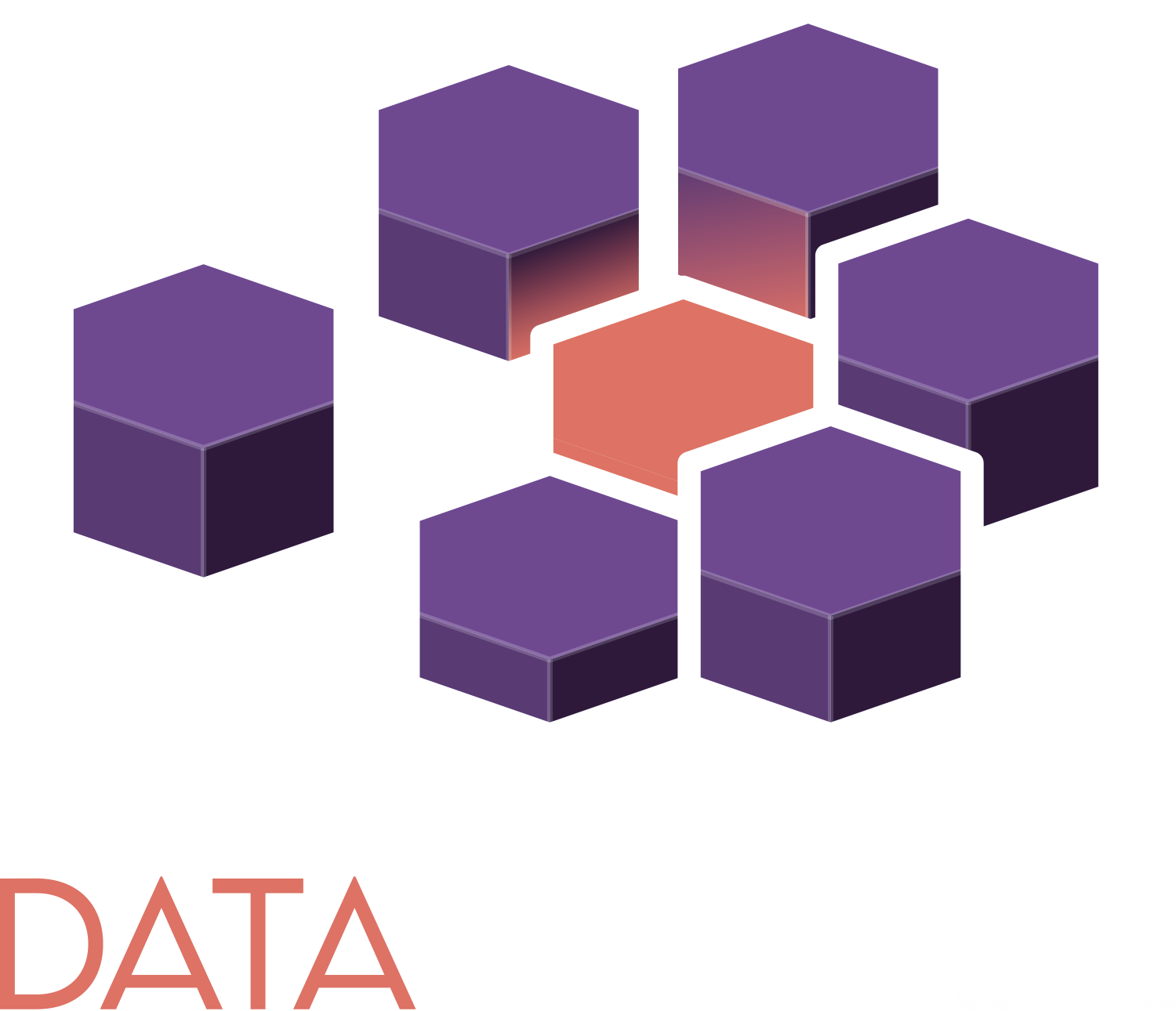 DataReshape Logo