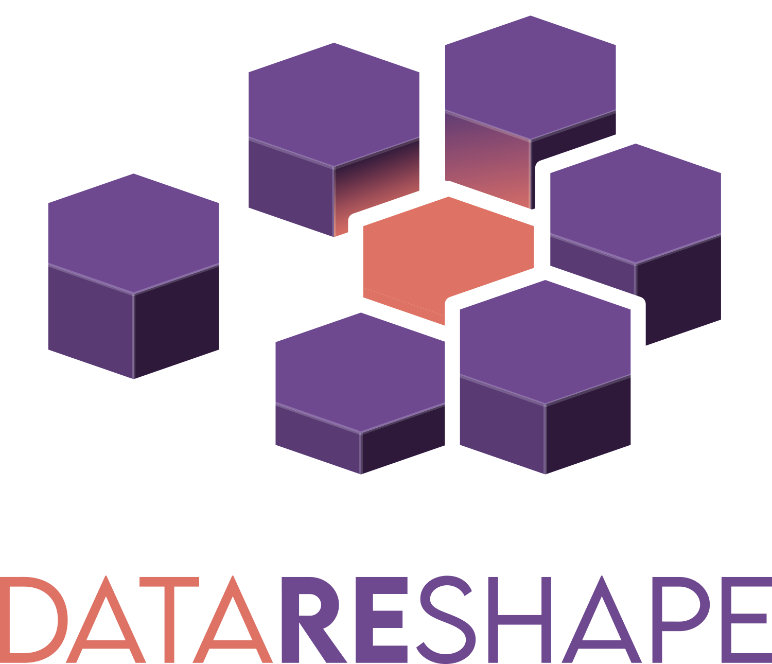 DataReshape Logo